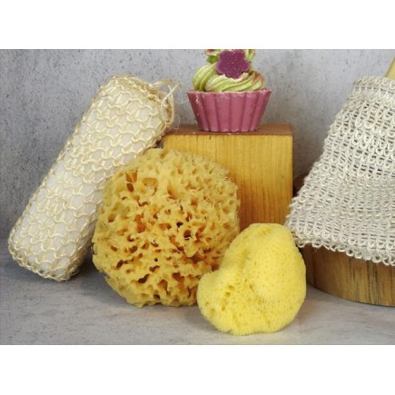 Éponge de mer Premium Corps