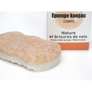 Éponge Konjac XL corps