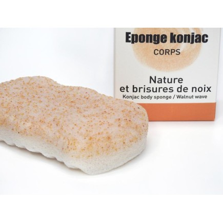 Éponge Konjac XL corps