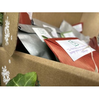 x Calendrier de l'Avent x