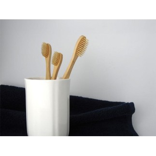 brosse à dents écologique